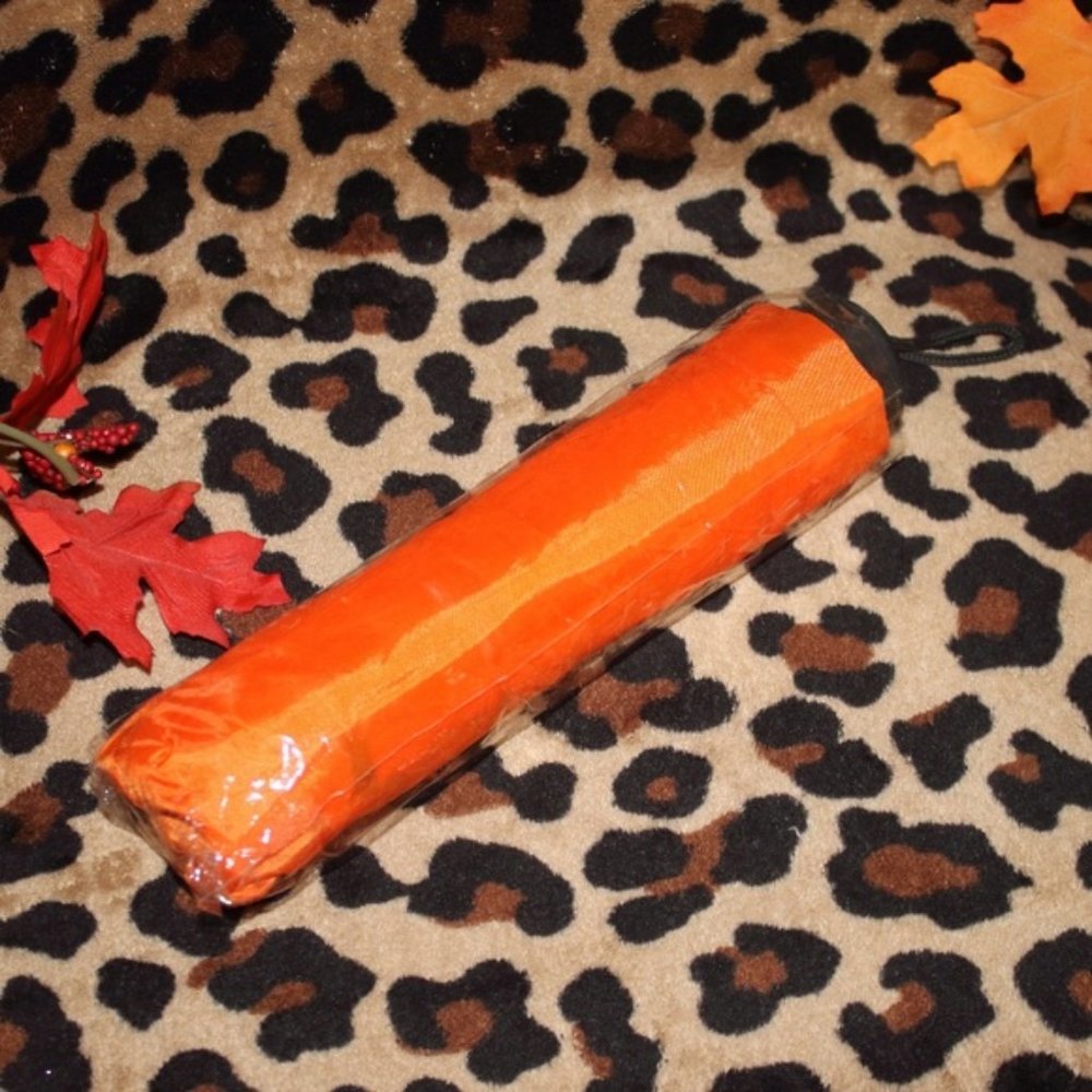 NIP ORANGE UMBRELLA WITH CHURCH LOGO